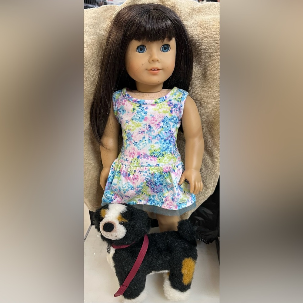 American Girl Doll Dark brown hair BLUE eyes & SPROCKET 2007 SERVICE DOG